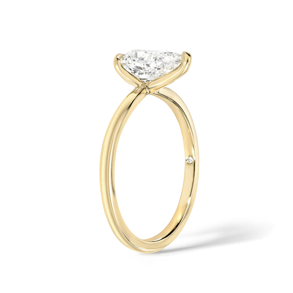 
                  
                    Abbott Solitaire | Pear Cut Diamond
                  
                